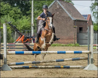 Lors du saut, quels muscles du cheval sont utilisés ?