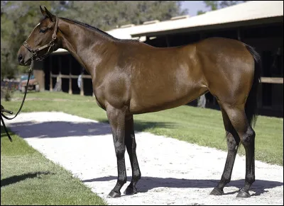 Qu'est ce que le "système SIRE" ?