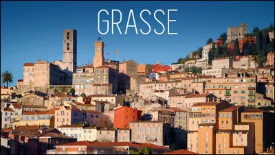 Au 15e siècle, un commerce va rendre florissante la ville de Grasse en France !