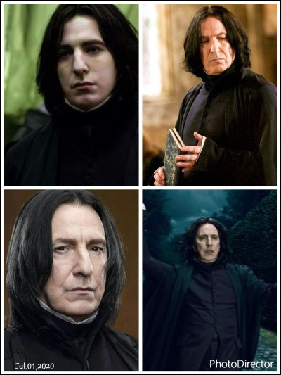 N•6 : Severus Rogue : quel est le patronus de Severus Rogue ?
