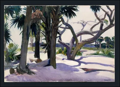 Dans quelle jungle sommes-nous ?