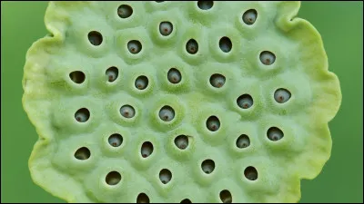 Cette image te fais peur ?