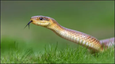 Cette image te fais peur ?