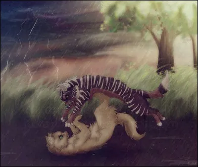 Tu arrives à la frontière et vois quun autre clan a dépassé le marquage et une patrouille de ton clan lui faire face. Tu...