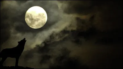 Qui es-tu à l'école (où qui étais-tu) ?