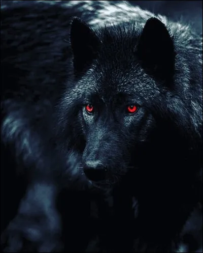 Que préfères-tu manger ?