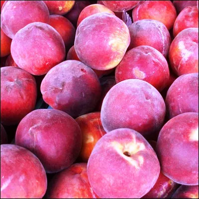 Quelle p&ecirc;che, tr&egrave;s appr&eacute;ci&eacute;e des amateurs de mets sucr&eacute;s, id&eacute;ale pour la p&ecirc;che Melba, est plus savoureuse, plus juteuse et plus fragile que les autres p&ecirc;ches ?