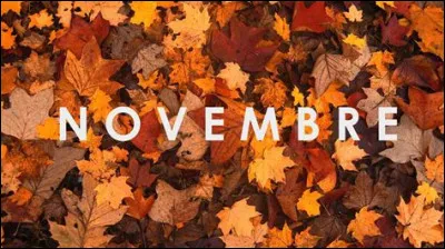 Comment dit-on "Novembre" ?