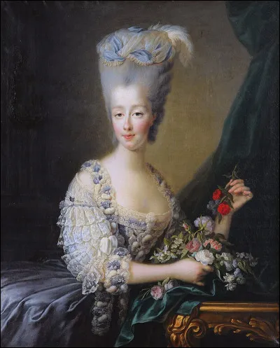 Quel titre portrait Marie-Thérèse de Savoie (1756-1805) ?
