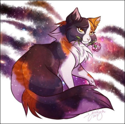 Quel est le grade de Petite Feuille ?