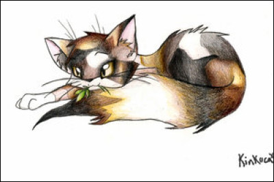 Qui est le deuxième chat qui tue Petite Feuille ?