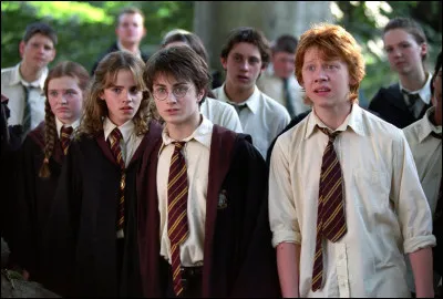 Dans ton groupe d'amis, tu es...