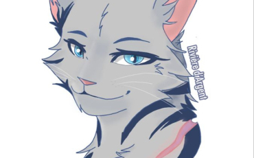 Quiz Erin hunter