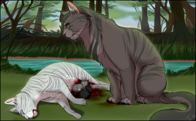 Comment meurt cette chatte à la vie mouvementée ?