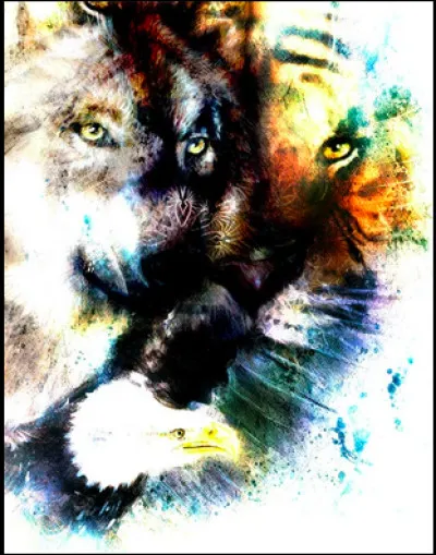 Quel est ton animal pr&eacute;f&eacute;r&eacute; ?