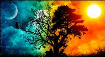 Tu pr&eacute;f&egrave;res :