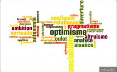 Quelle est ta principale qualit&eacute; ?