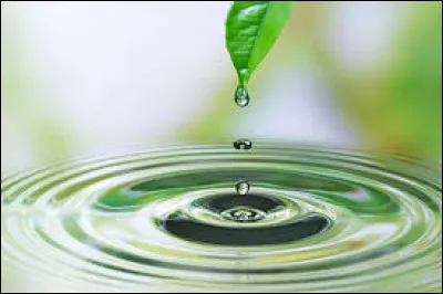 Quelle est la marque du parfum "Eau sauvage" ?