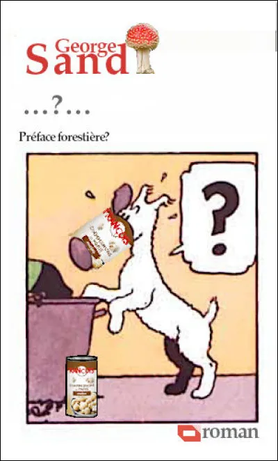 Le titre de ce roman, vous trouverez !