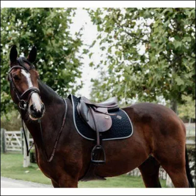 Qu'est-ce que l'assiette ?