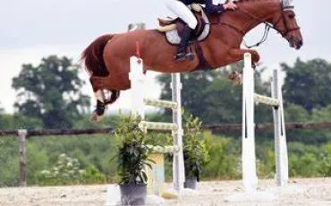 Quiz Galop 2