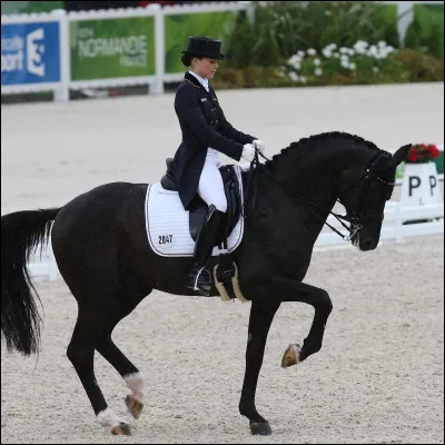 Cette activité équestre est :