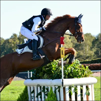 Cette activité équestre est :