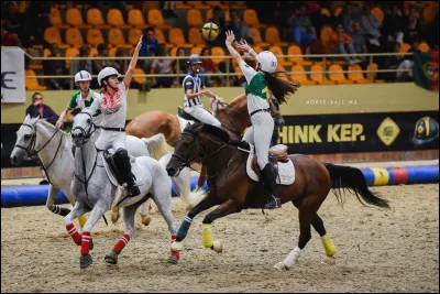 Quelle discipline équestre est-ce ?