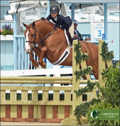 Quelle discipline équestre est-ce ?