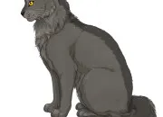 Quiz Quiz ~ Plume Grise