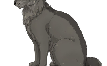 Quiz Erin hunter