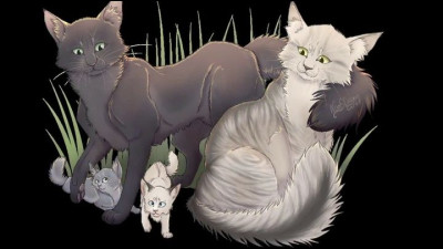 Qui est la deuxième compagne de Plume Grise ?