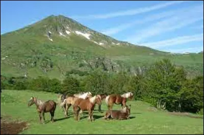 Cet ancien volcan culmine à 1783 mètres dans les monts du Cantal. Quel est son nom ?