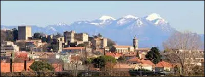 C'est la "capitale du nougat" depuis le XVIIe siècle. Ville de la vallée du Rhône, dans quel département de situe Montélimar ?