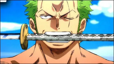 Quelle est la prime de Zoro ?