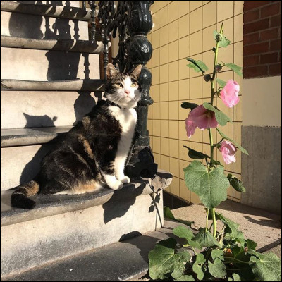 Te décrirais-tu comme sociable ?