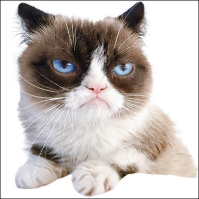 Tu te dirais célèbre