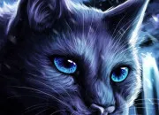 Quiz Quiz ~ toile Bleue
