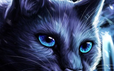 Quiz Erin hunter