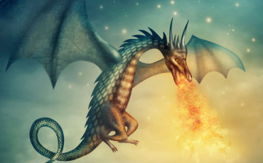 Quiz Erin hunter