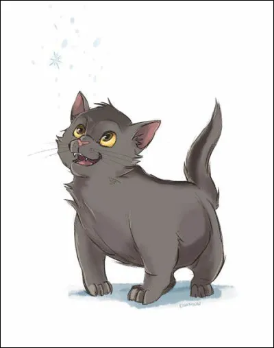 Tu as des chatons. Comment les appelles-tu ?