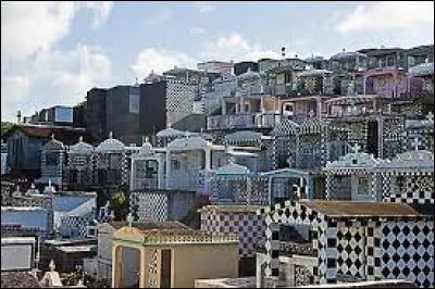 Ce que vous voyez sur cette image fait la renommée de Morne-à-l'Eau. De quoi s'agit-il ?