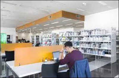 Où se trouve la plus grande bibliothèque municipale de France ?