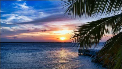 Qui chantait "Face à la mer" ?