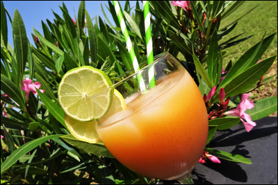 Cocktail de bienvenue ! Mon préféré est le punch qui porte le nom de "planteur" aux Antilles. Pour résumé, c'est du rhum, sucre de canne et jus de fruits exotiques. Mais quelle sorte de rhum ?