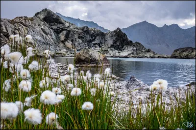 Je l'aime ! Que la montagne est belle ! Quel chanteur célèbre me rejoignait dans ce sentiment ?