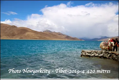 Quel est ce lac sacré en Y, situé au Tibet à 4 420 mètres d'altitude et d'une longueur de 72 km ?