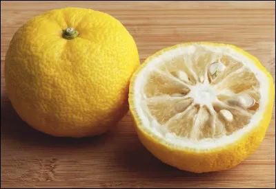 Quel est ce fruit en Y, un agrume du Japon, juteux, fruité mais avec de gros pépins ?