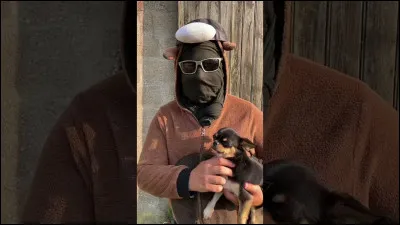 Comment s'appelle le cheval ci-dessus ?