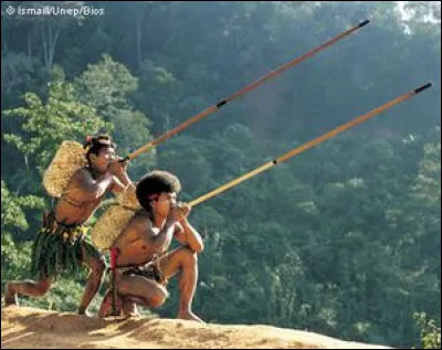 Souvent lorsque l'on nous parle de cette arme, nous pensons aux indigènes situés dans la forêt amazonienne. De quelle arme suis-je en train de parler ?